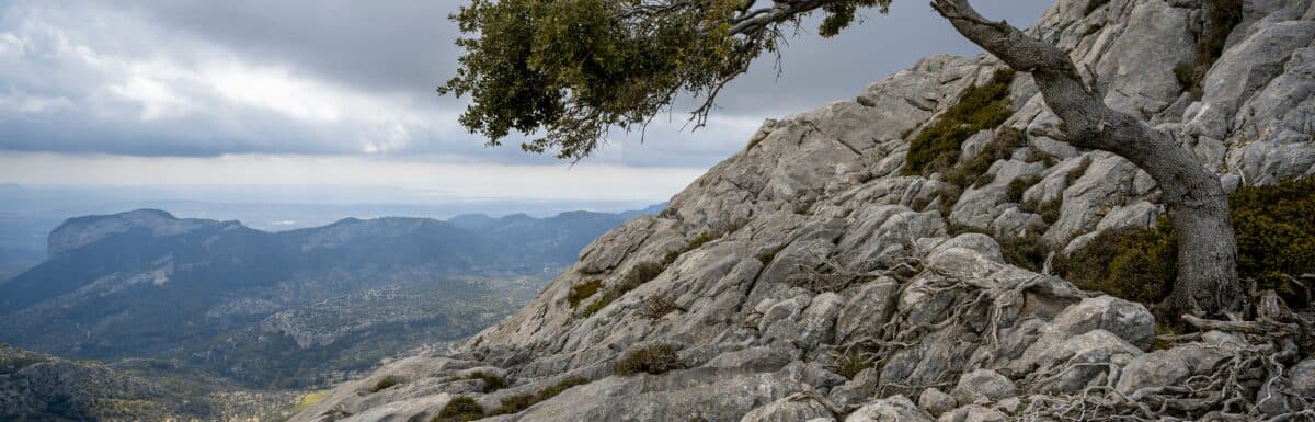 Be an Inspired Badass: Guidepost 40